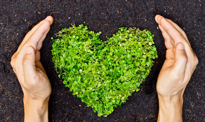 Cohérence Cardiaque Corse Borgo