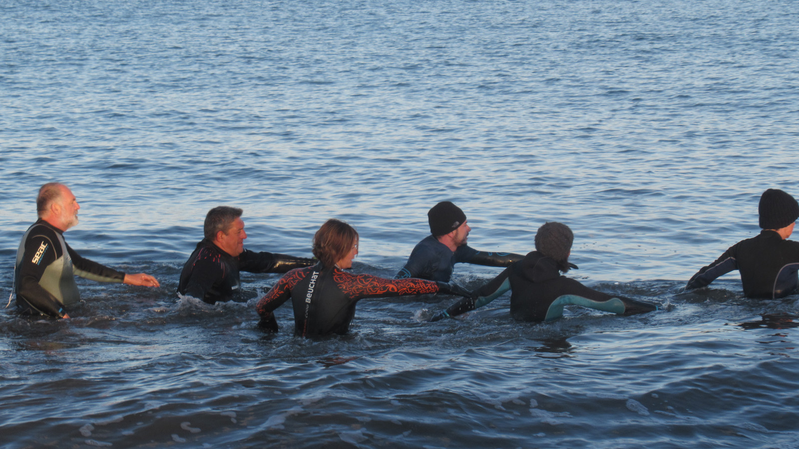 Séance de longethérapie et de longe côte en  Corse 