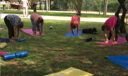 Séance de soin yoga forêt