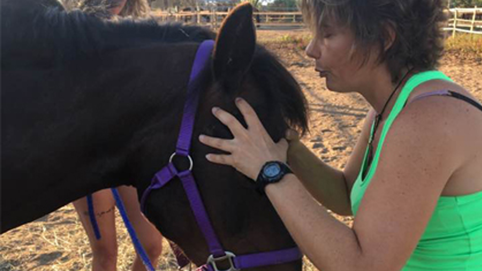 Soin énergétique sur animaux